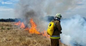 Russische Angriffe auf die Region Mykolayiv: Neue Fälle und Betroffene